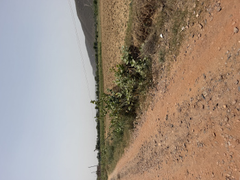 Agricultural/Farm Land for Sale in Ferozepur Jhirka, Nuh (2 Acre)