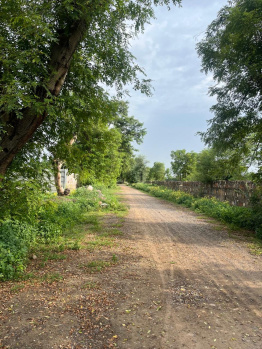 Agricultural/Farm Land for Sale in Sohna Road, Faridabad (1 Acre)