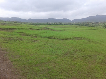 Agricultural/Farm Land For Sale In Kesurdi, Satara (5 Acre)