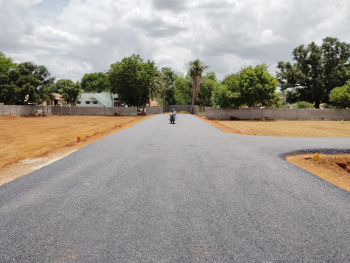 Residential Plot for Sale in Allithurai, Tiruchirappalli (1287 Sq.ft.)