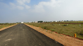 Residential Plot for Sale in Adavathur East, Tiruchirappalli (1200 Sq.ft.)