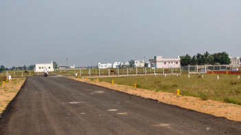 Residential Plot for Sale in Adavathur East, Tiruchirappalli (800 Sq.ft.)