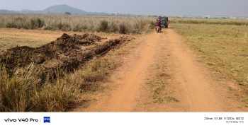 Residential Plot For Sale In Pipili, Puri (43560 Sq.ft.)