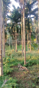 Property for sale in Belthangady, Mangalore