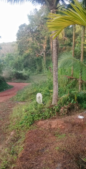 Property for sale in Belthangady, Mangalore