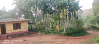 Property for sale in Belthangady, Mangalore