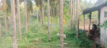 Property for sale in Belthangady, Mangalore