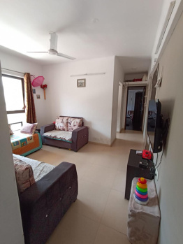 Flats & Apartments for Rent in Keshav Nagar, Pune (1000 Sq.ft.)