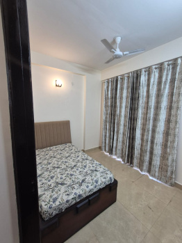 2.5 BHK Independent House For Rent In Sohna, Gurgaon (822 Sq.ft.)