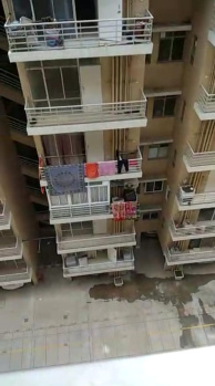 1 BHK Flats & Apartments for Rent in Sohna, Gurgaon (417 Sq.ft.)