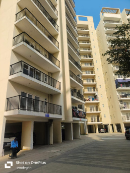 Flats & Apartments for Rent in Sohna, Gurgaon (645 Sq.ft.)