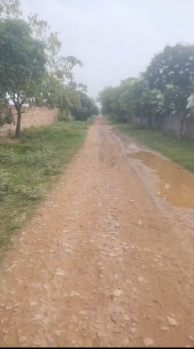 Property for sale in Naugaon, Alwar