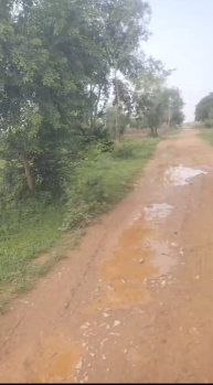 Property for sale in Naugaon, Alwar