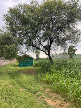 Property for sale in Naugaon, Alwar