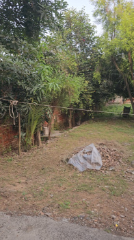 2 BHK Farm House for Sale in Sainik Farms, Delhi (1000 Sq.ft.)