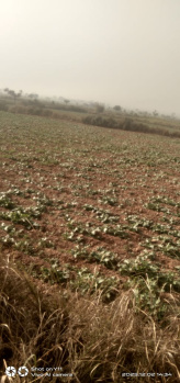 Agreeculture lends in best location