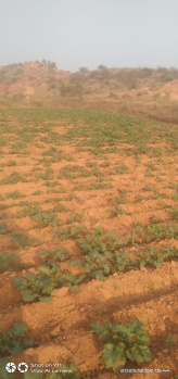 Property for sale in Deeg, Bharatpur