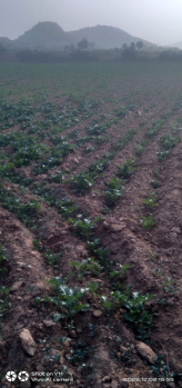 Property for sale in Punahana, Nuh