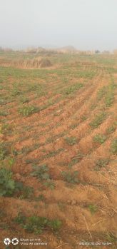 Property for sale in Punahana, Nuh