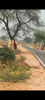 1 BHK Farm House for Sale in Bayana, Bharatpur (300 Bigha)