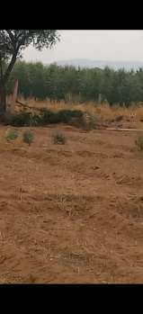 Property for sale in Bayana, Bharatpur