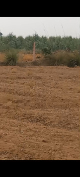 Property for sale in Bayana, Bharatpur