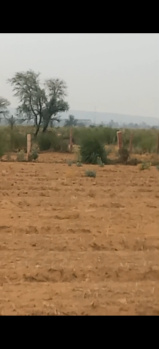Property for sale in Bayana, Bharatpur