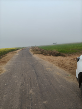 Farm House for Sale in Pahari, Bharatpur (17 Bigha)