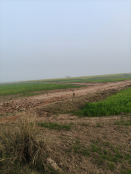 Farm House for Sale in Deeg, Bharatpur (15 Bigha)