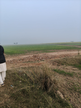 Farm House for Sale in Deeg, Bharatpur (30 Bigha)