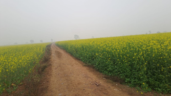Property for sale in Deeg, Bharatpur