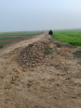 Property for sale in Tauru, Nuh