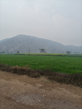 1 BHK Farm House for Sale in Nalhar, Nuh (10 Acre)