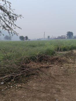 Property for sale in Nalhar, Nuh