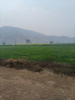 Property for sale in Nalhar, Nuh