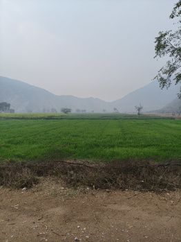 Property for sale in Nalhar, Nuh