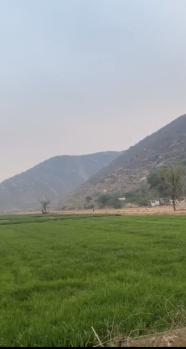 Property for sale in Nalhar, Nuh