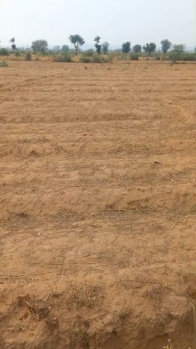 Agricultural/Farm Land for Sale in Ferozepur Jhirka, Nuh (4 Acre)