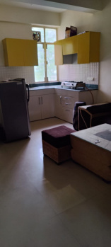 1 BHK Flats & Apartments for Rent in Sohna Road, Gurgaon (578 Sq.ft.)