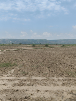 Agricultural/Farm Land for Sale in Kotla, Nuh (15 Acre)