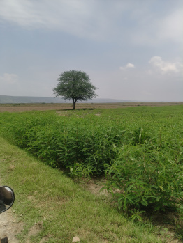 Agricultural/Farm Land for Sale in Ferozepur Jhirka, Nuh (3 Acre)