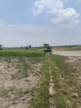 Agricultural/Farm Land for Sale in Ferozepur Jhirka, Nuh (2 Acre)