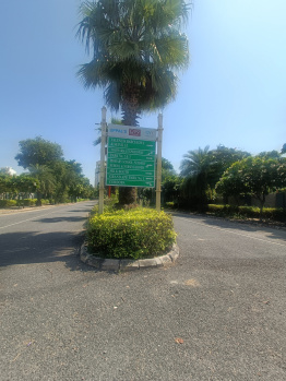 Residential Plot for Sale in Sector 99, Gurgaon (250 Sq. Yards)