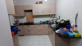 Builder Floor for Sale in DLF Phase I, Gurgaon (400 Sq. Yards)