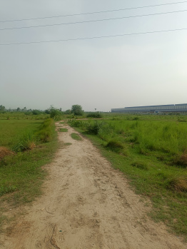 Residential Plot for Sale in Neemrana, Alwar (210 Sq. Yards)