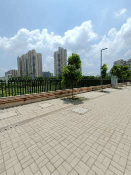 Commercial Lands /Inst. Land for Sale in Sector 67, Gurgaon (252 Sq. Yards)