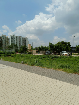 Residential Plot for Sale in DLF Phase I, Gurgaon (240 Sq. Yards)