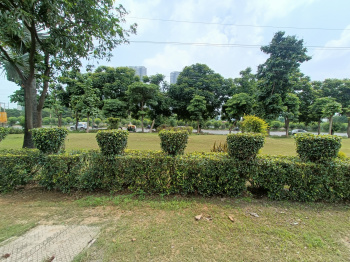 Residential Plot for Sale in DLF Phase I, Gurgaon (280 Sq. Yards)