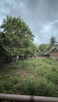 Residential Plot For Sale In Nagercoil, Kanyakumari (10 Cent)