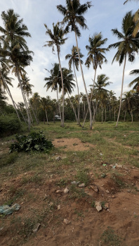 Residential Plot For Sale In Thengapattanam, Kanyakumari (90 Cent)